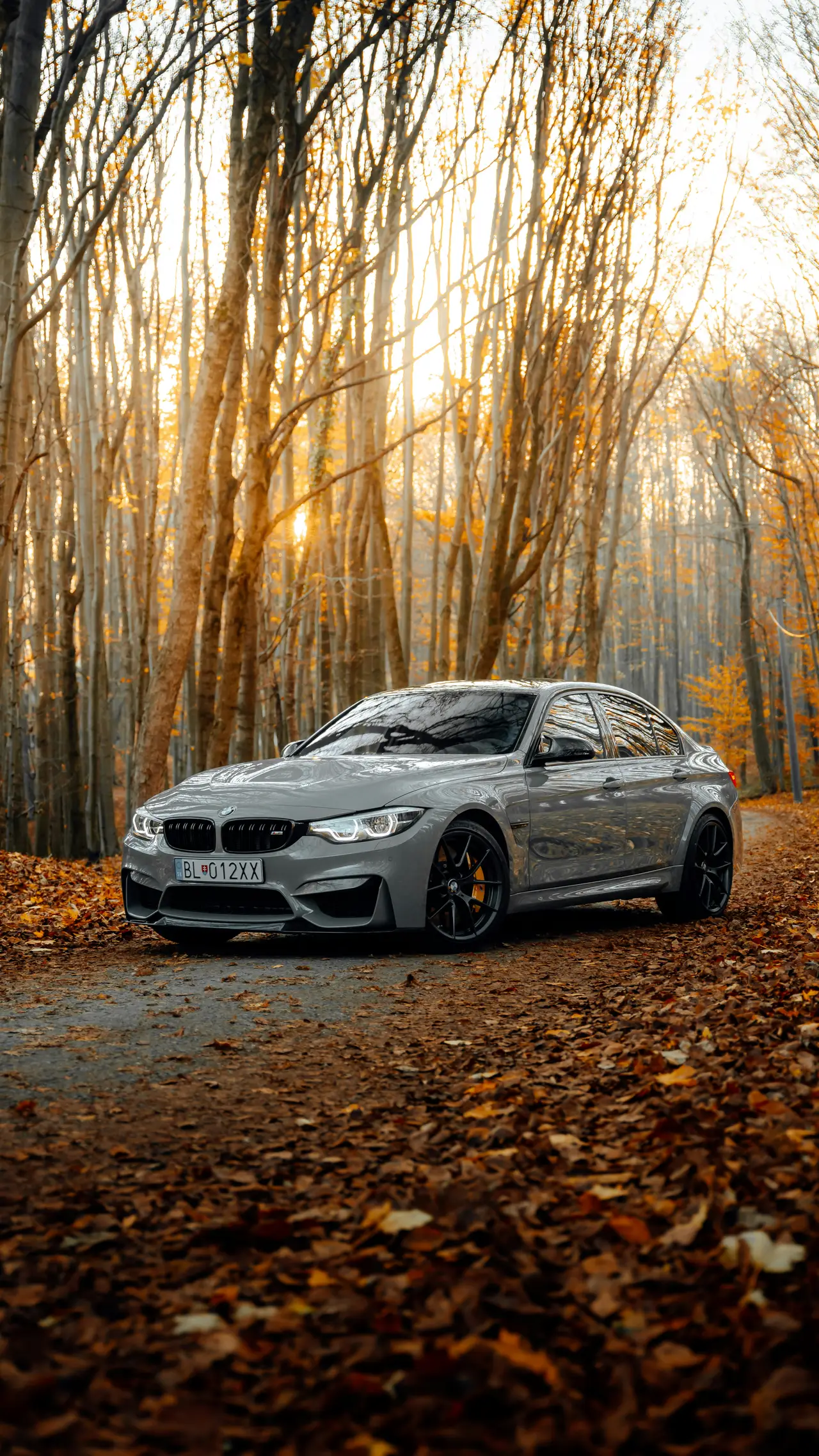 Silver BMW performance saloon on a forest road